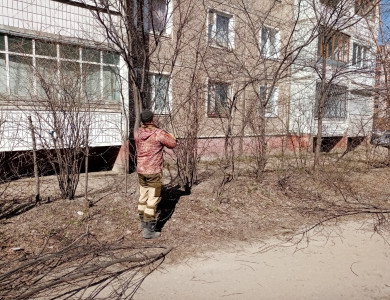 Кронирование кустарников и деревьев - 1
