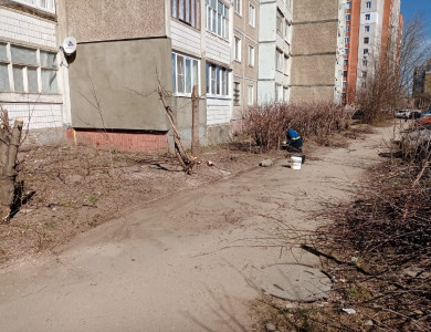 Кронирование кустарников и деревьев - 2