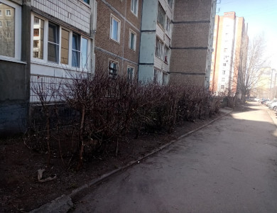 Кронирование кустарников и деревьев - 4