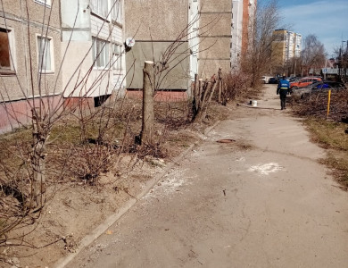 Кронирование кустарников и деревьев - 5