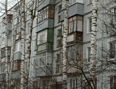 Кронирование деревьев - 2 Кронирование деревьев - 2