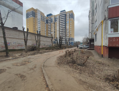 Кронирование деревьев - 2